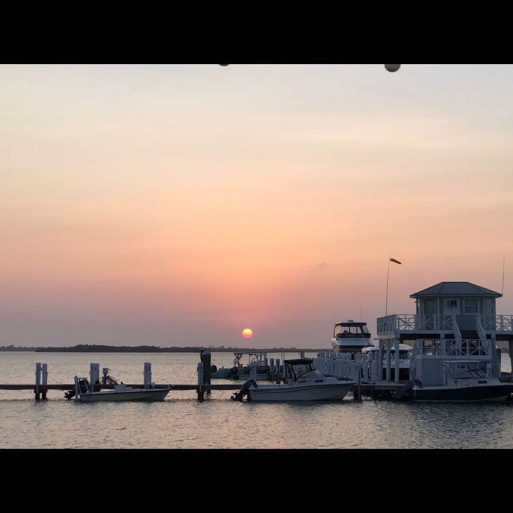 Meet your Posher, Shannon